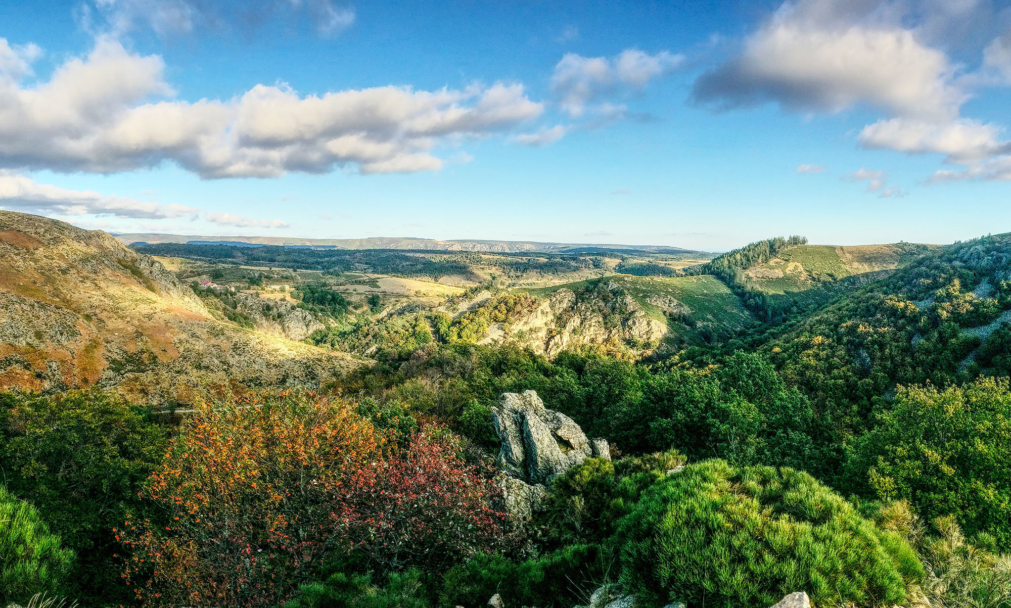 Paysage d'Ardèche